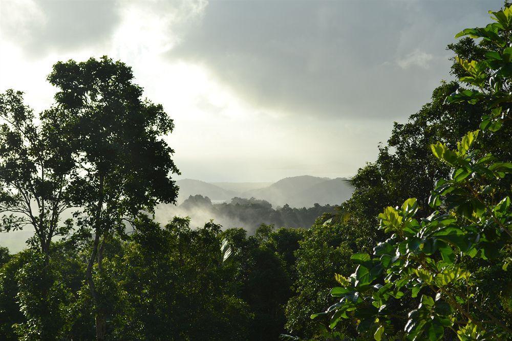 El Hotelito At The Rainforest Experience Farm Fajardo Ngoại thất bức ảnh