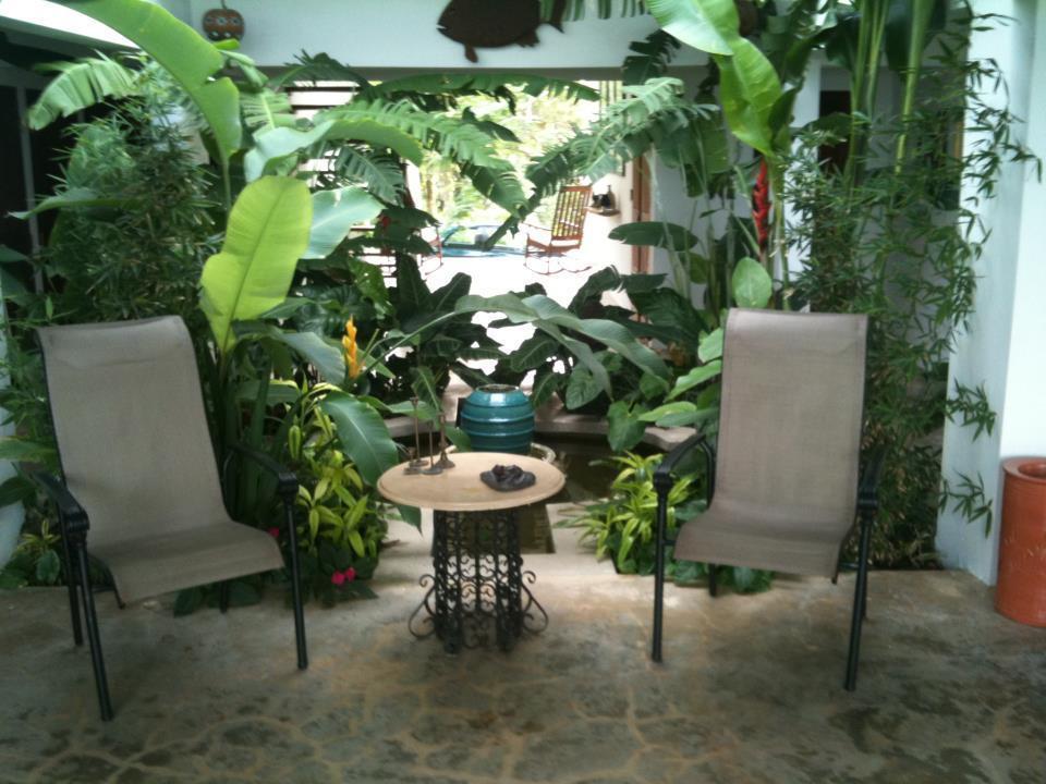 El Hotelito At The Rainforest Experience Farm Fajardo Ngoại thất bức ảnh
