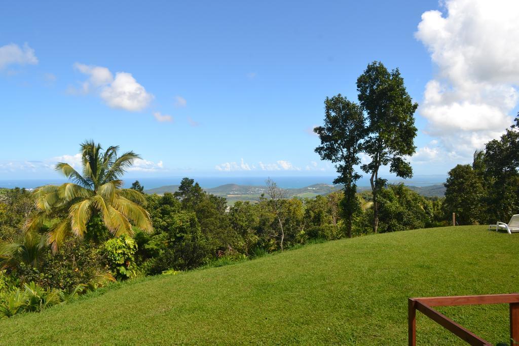 El Hotelito At The Rainforest Experience Farm Fajardo Ngoại thất bức ảnh