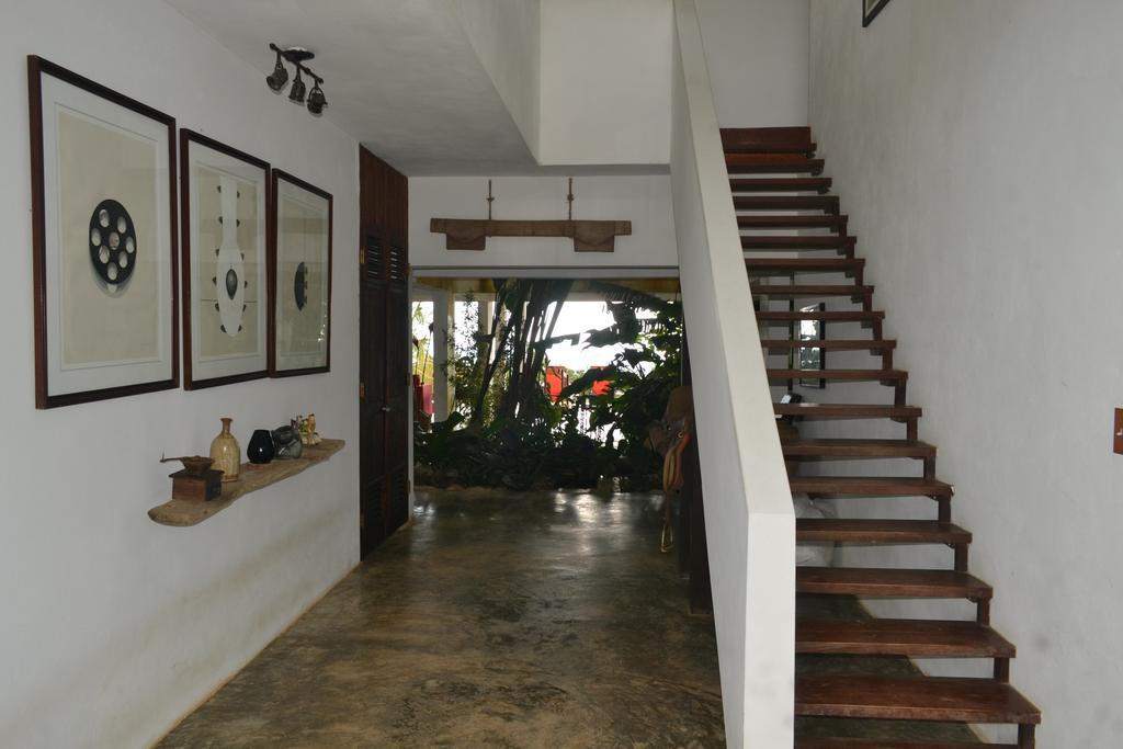 El Hotelito At The Rainforest Experience Farm Fajardo Ngoại thất bức ảnh