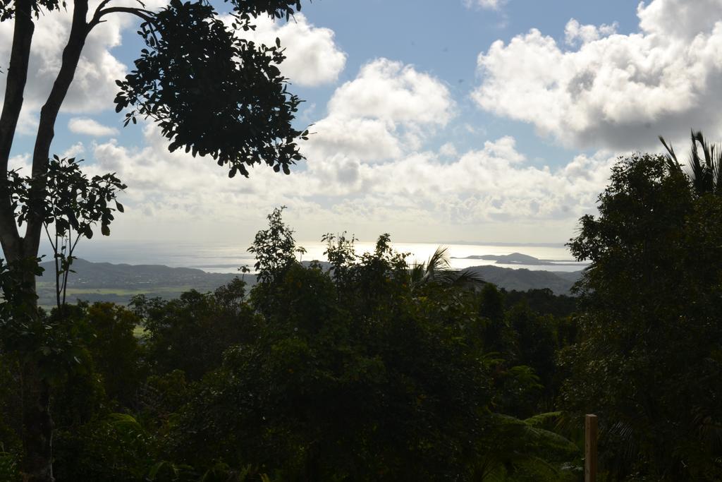 El Hotelito At The Rainforest Experience Farm Fajardo Ngoại thất bức ảnh