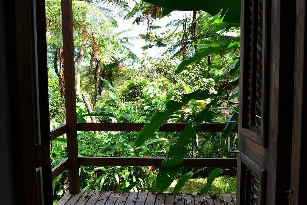 El Hotelito At The Rainforest Experience Farm Fajardo Ngoại thất bức ảnh