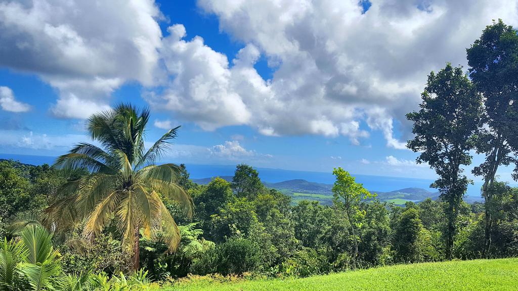 El Hotelito At The Rainforest Experience Farm Fajardo Ngoại thất bức ảnh